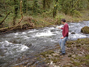 Fig. 1. Money float test in the Washougal River. Bundles moved easily through the rapids but settled to the bottom in deeper sections.