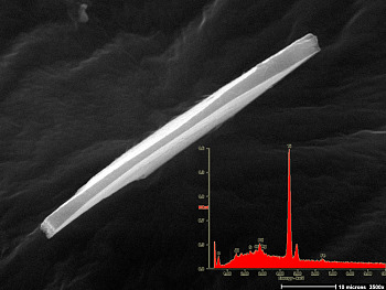 Fig. 1  Microscopic bar of titanium metal found on Cooper's tie. Inset shows elemental signature via x-ray spectroscopy.     (Length = 60 microns)